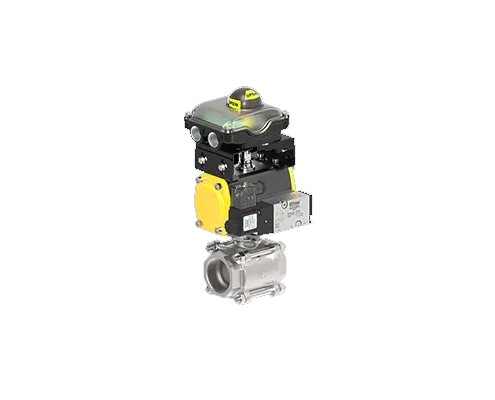 Screwed -Socket Weld Ball Valve